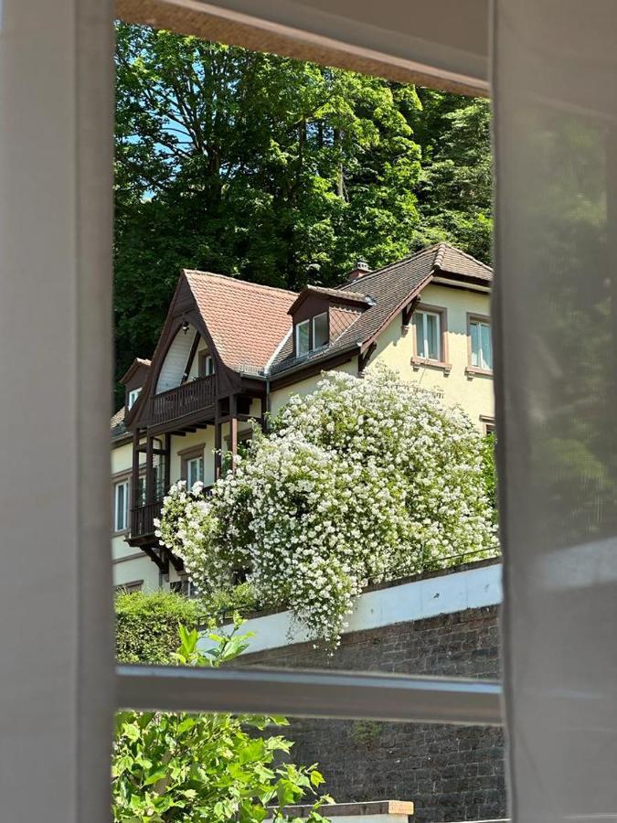 Hotel Burgfreiheit Heidelberg Esterno foto